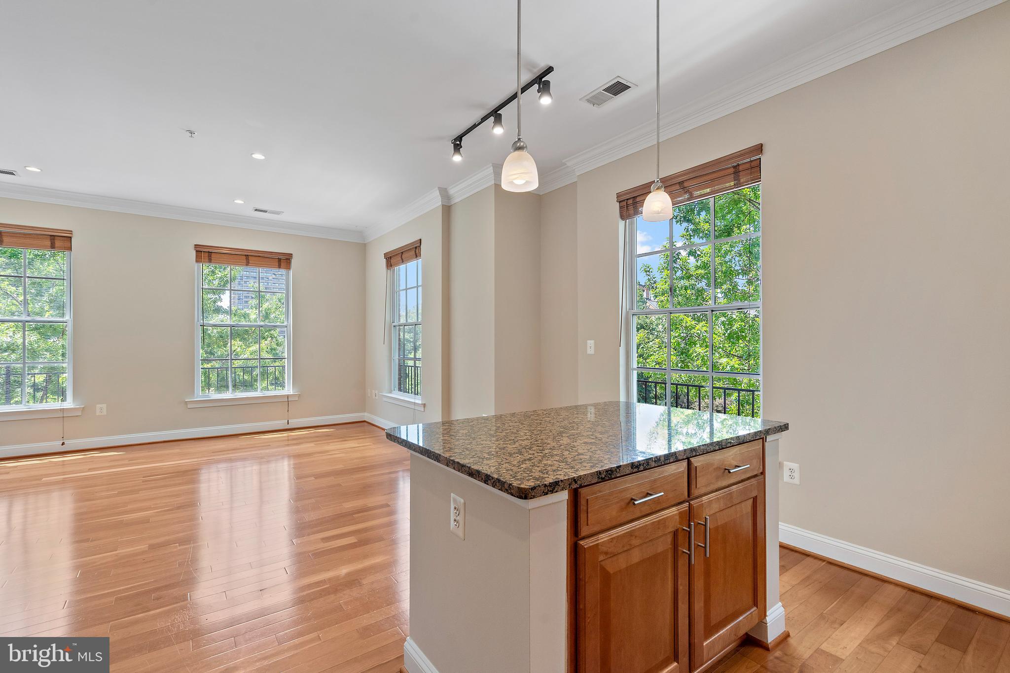 1023 N ROYAL STREET 217