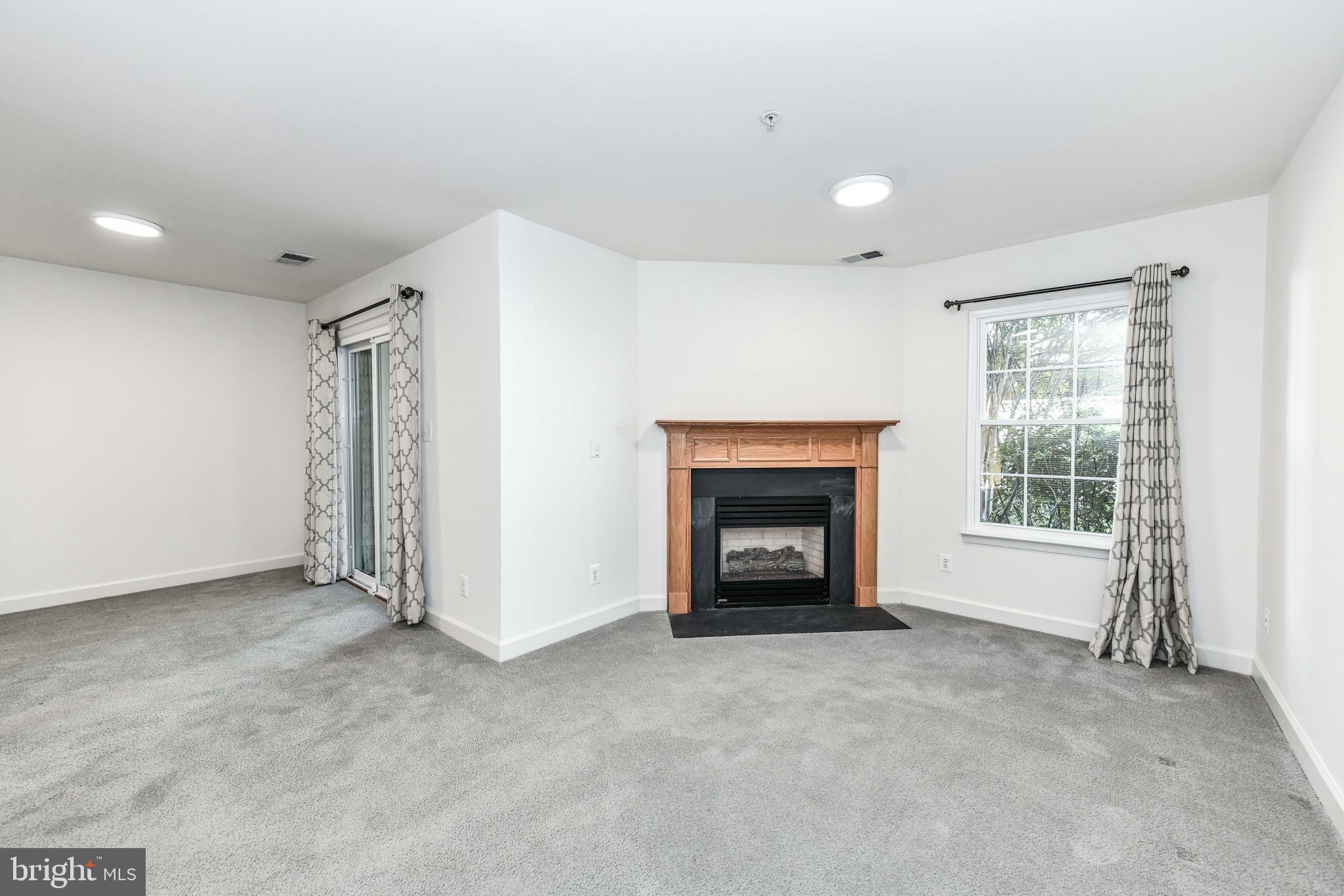 3819 DOMINION MILL DRIVE