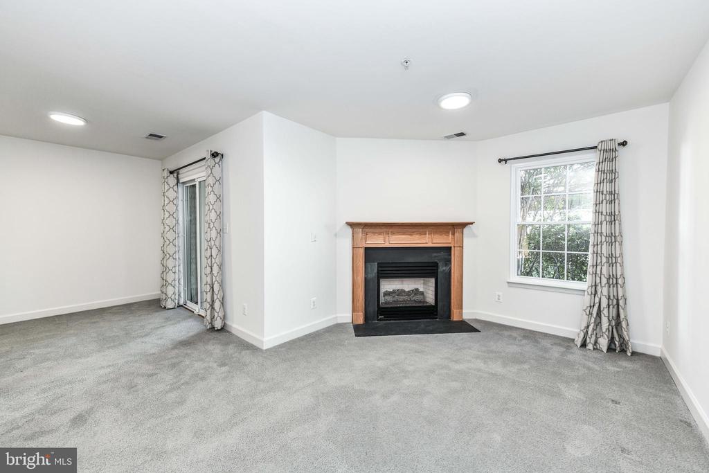 3819 DOMINION MILL DRIVE