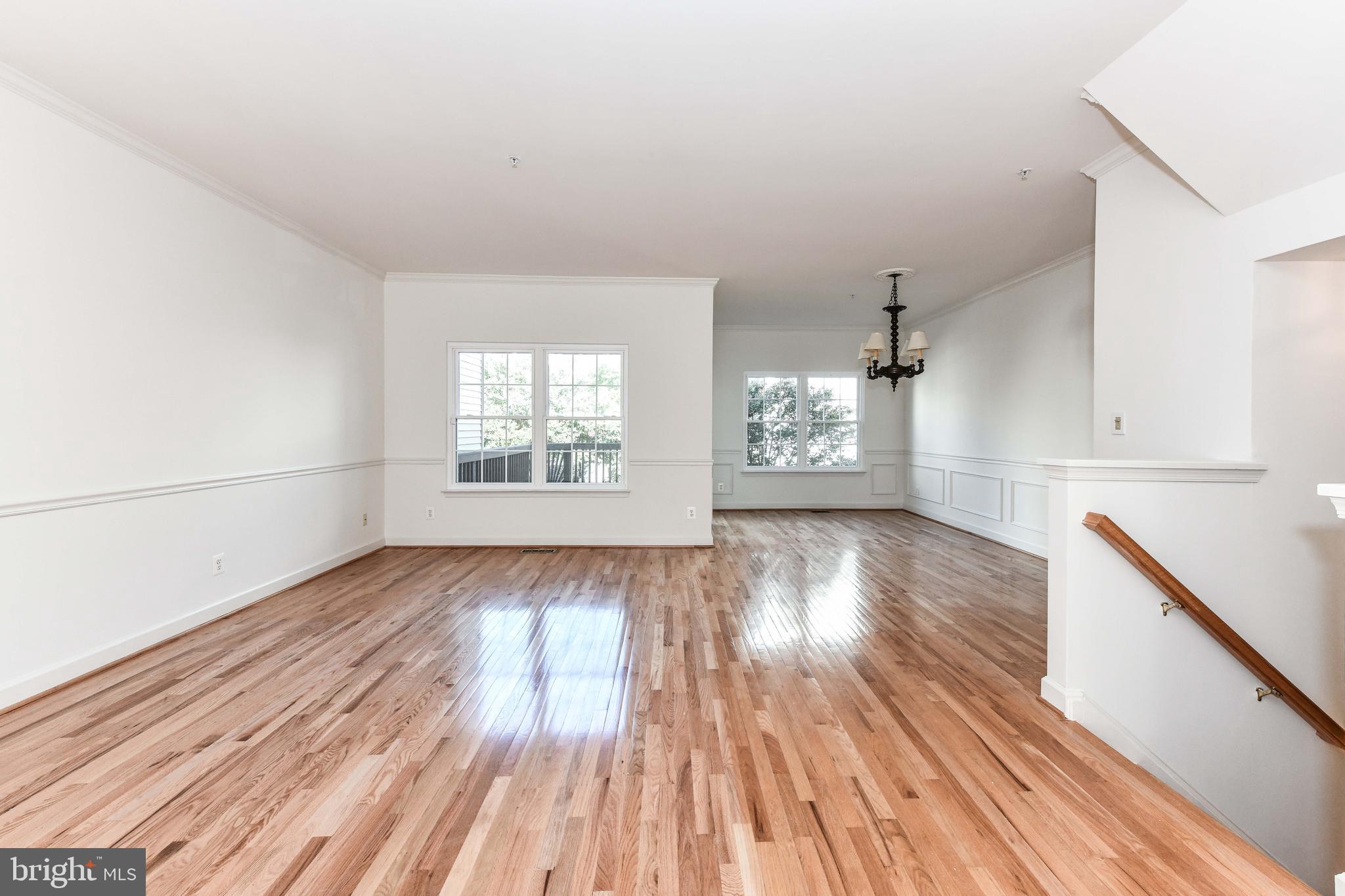 3819 DOMINION MILL DRIVE