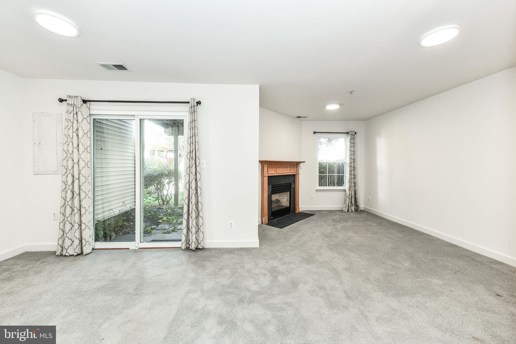 3819 DOMINION MILL DRIVE