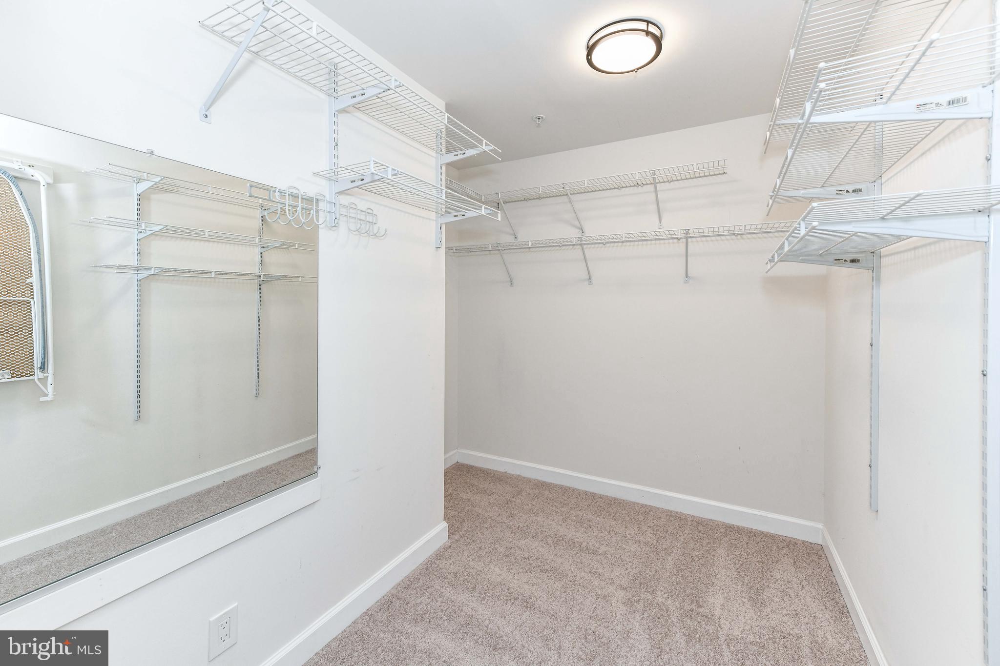 3819 DOMINION MILL DRIVE