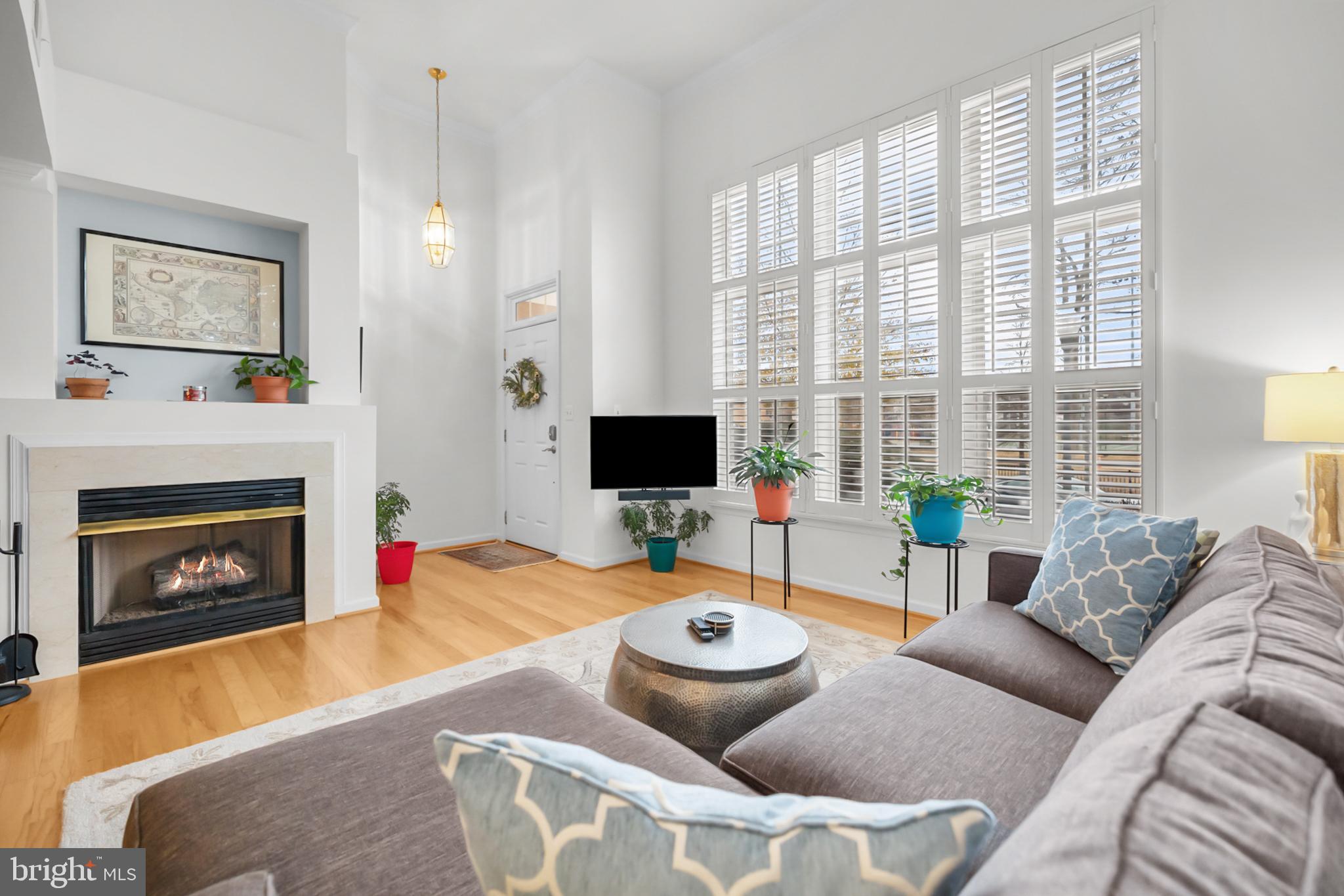 517 CAMERON STATION BOULEVARD