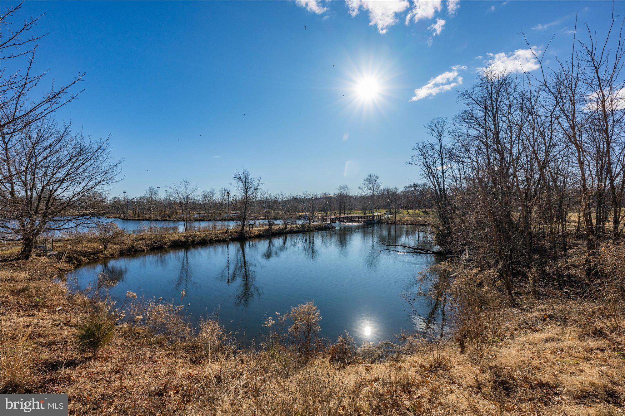 171 SOMERVELLE STREET 211