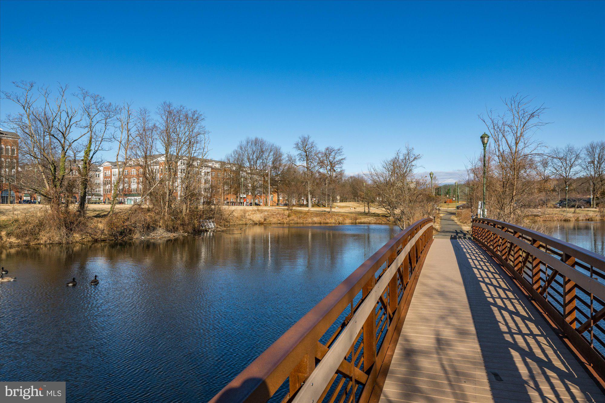 171 SOMERVELLE STREET 211