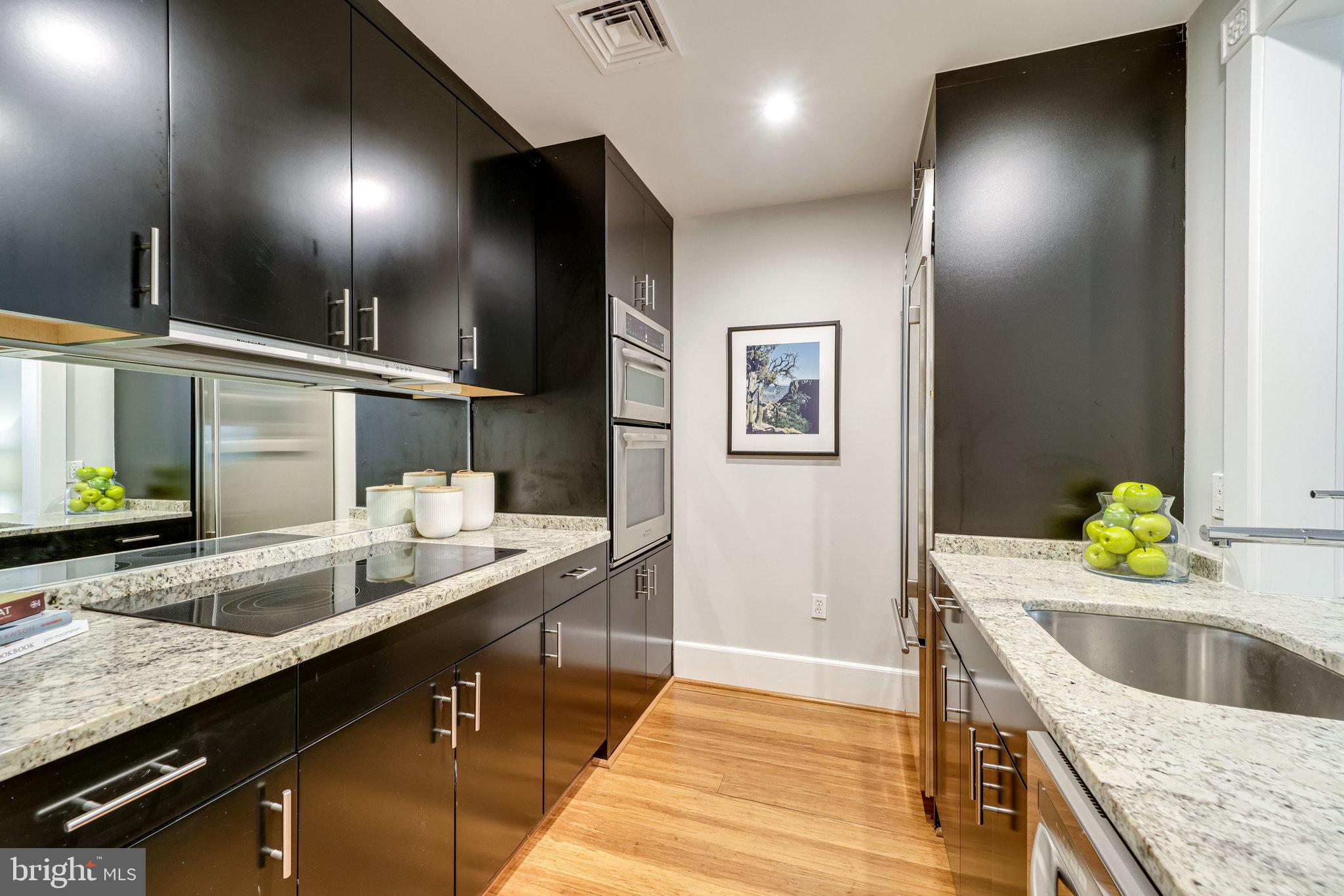 910 POWHATAN STREET 205S