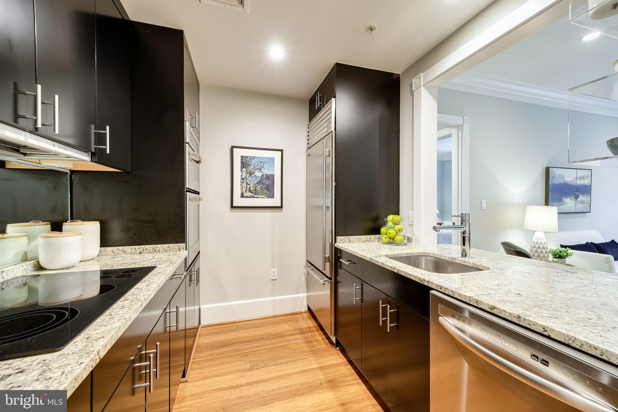 910 POWHATAN STREET 205S