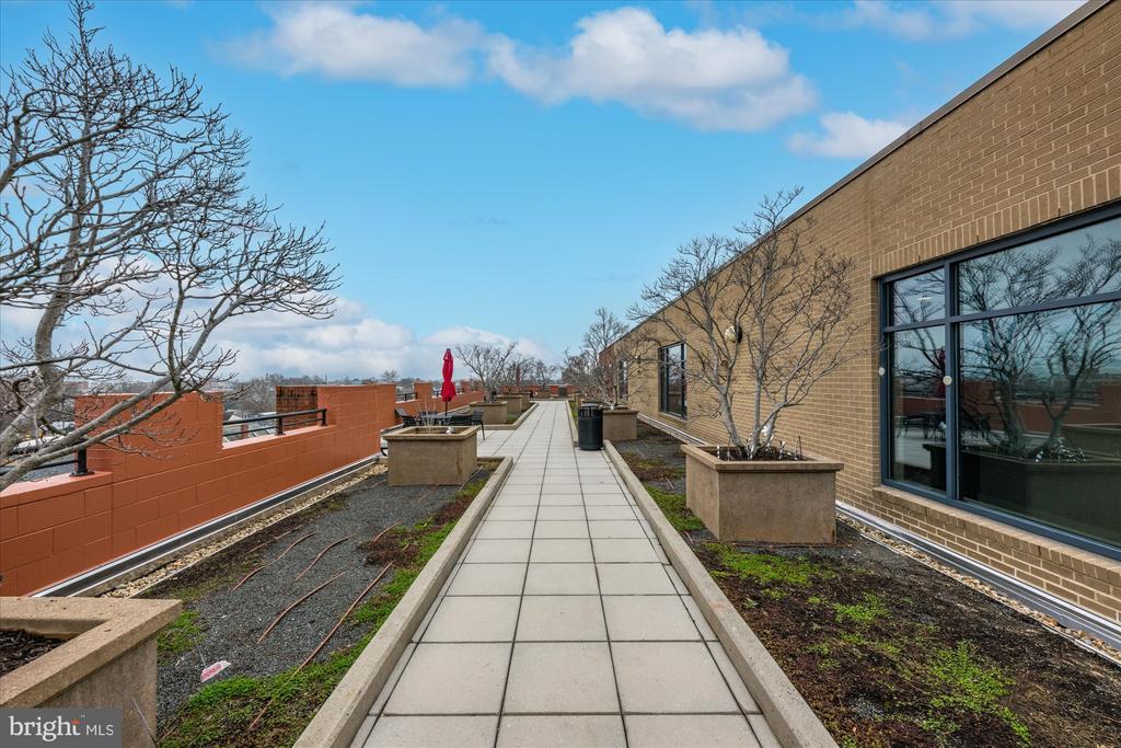 1111 ORONOCO STREET 532