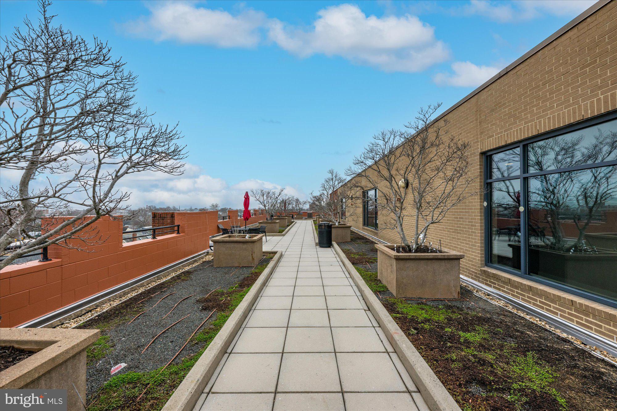 1111 ORONOCO STREET 532