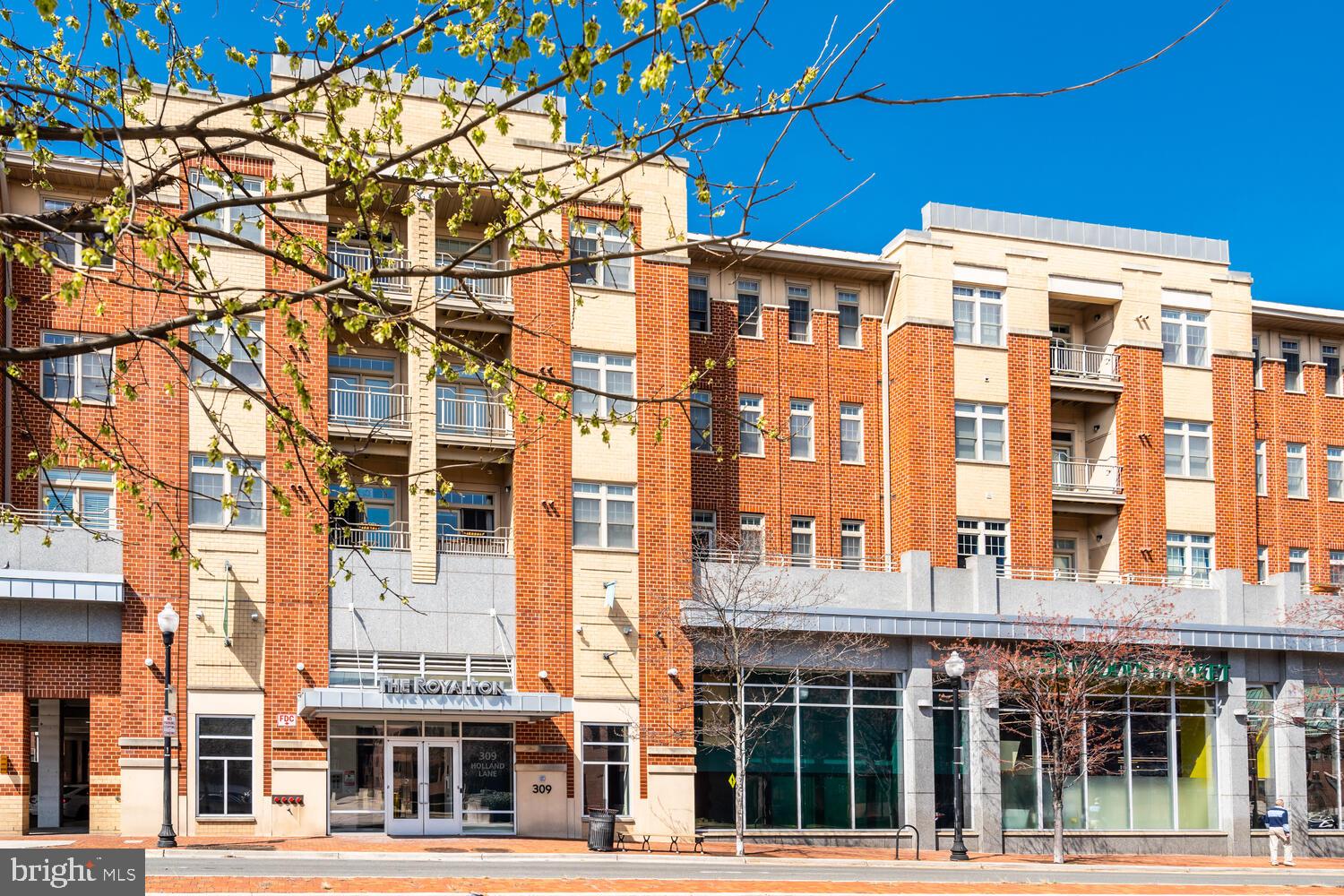 309 HOLLAND LANE 307