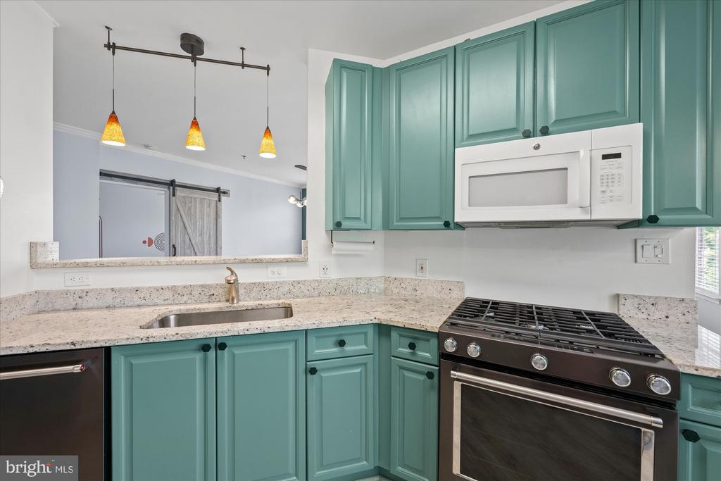 171 SOMERVELLE STREET 303