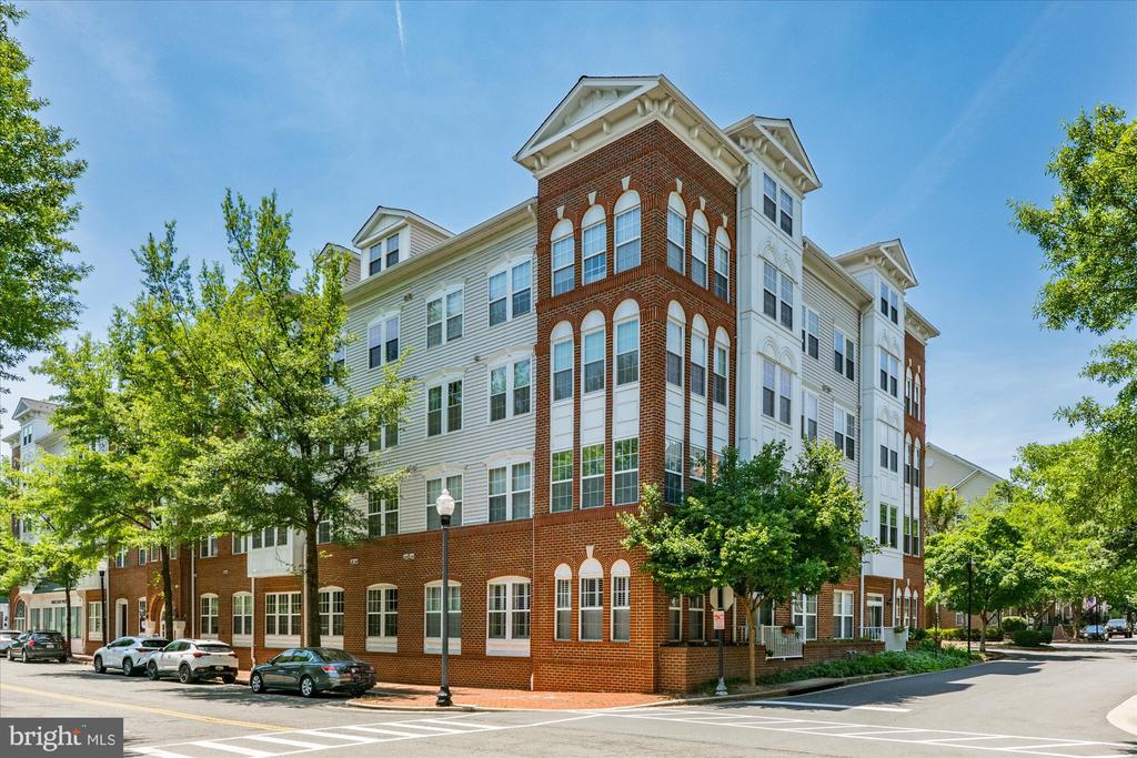 171 SOMERVELLE STREET 303
