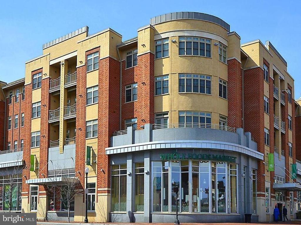 309 HOLLAND LANE Unit: 104