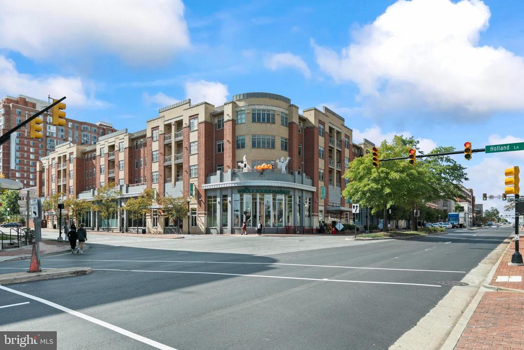 309 HOLLAND LANE Unit: 135