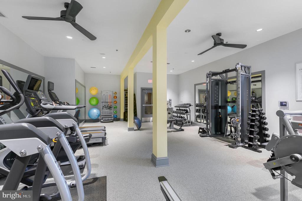 309 HOLLAND LANE Unit: 135