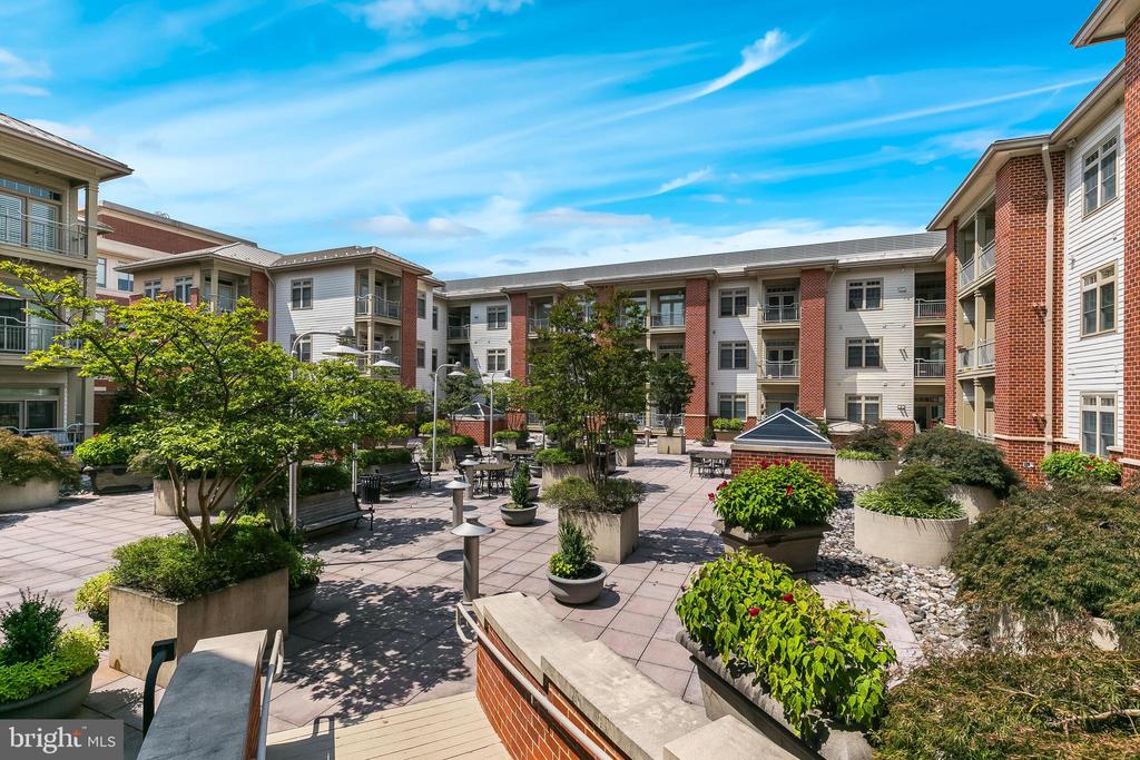 309 HOLLAND LANE Unit: 135