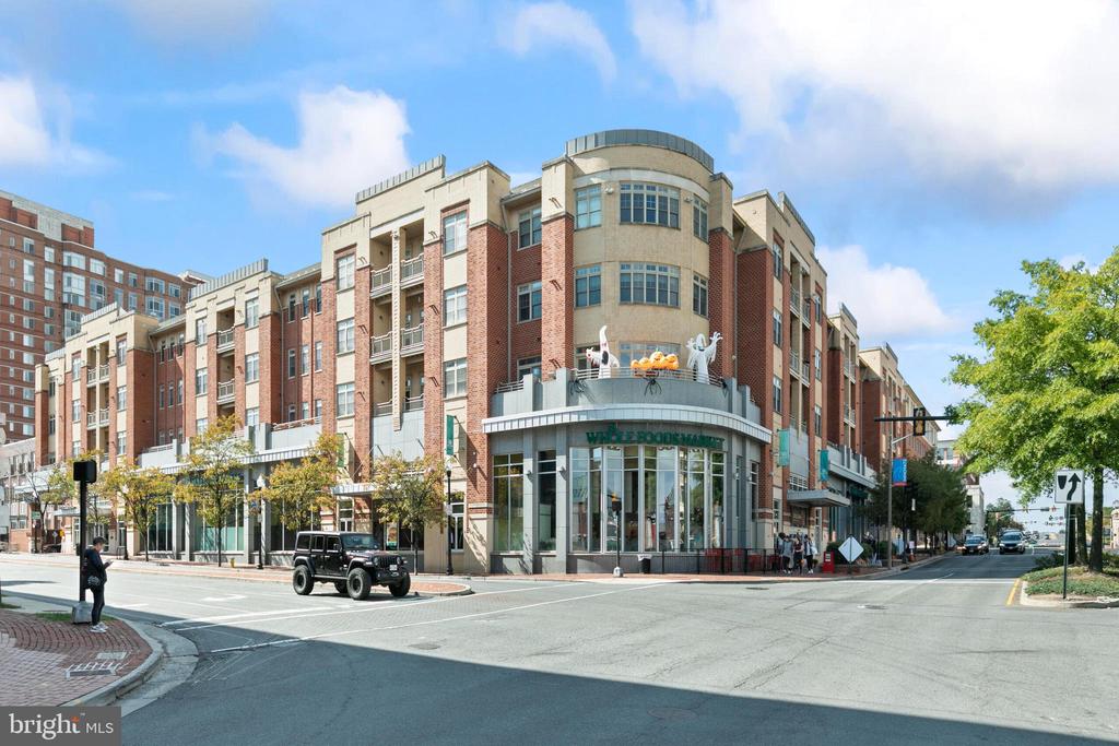 309 HOLLAND LANE Unit: 135
