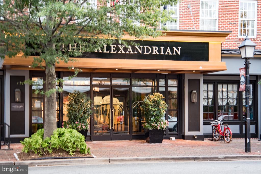 ALEXANDRIA