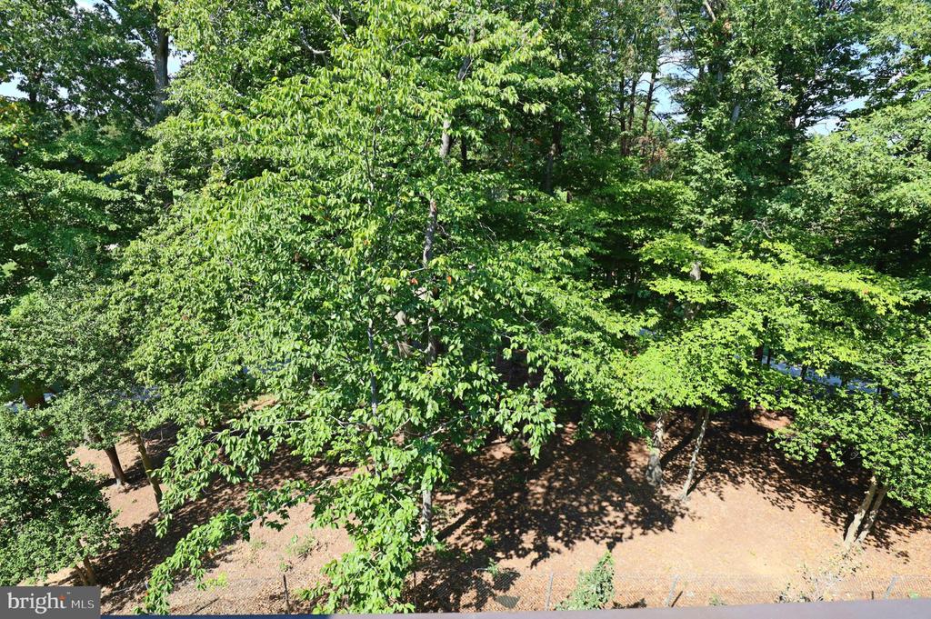 3532 SUTTON HEIGHTS CIRCLE