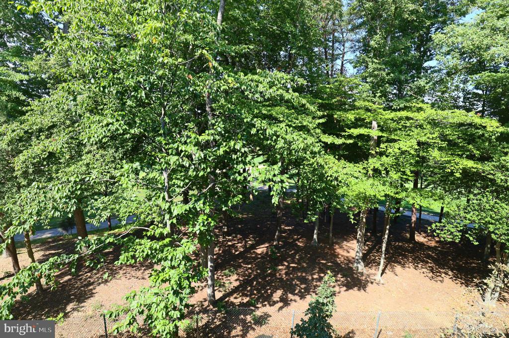 3532 SUTTON HEIGHTS CIRCLE