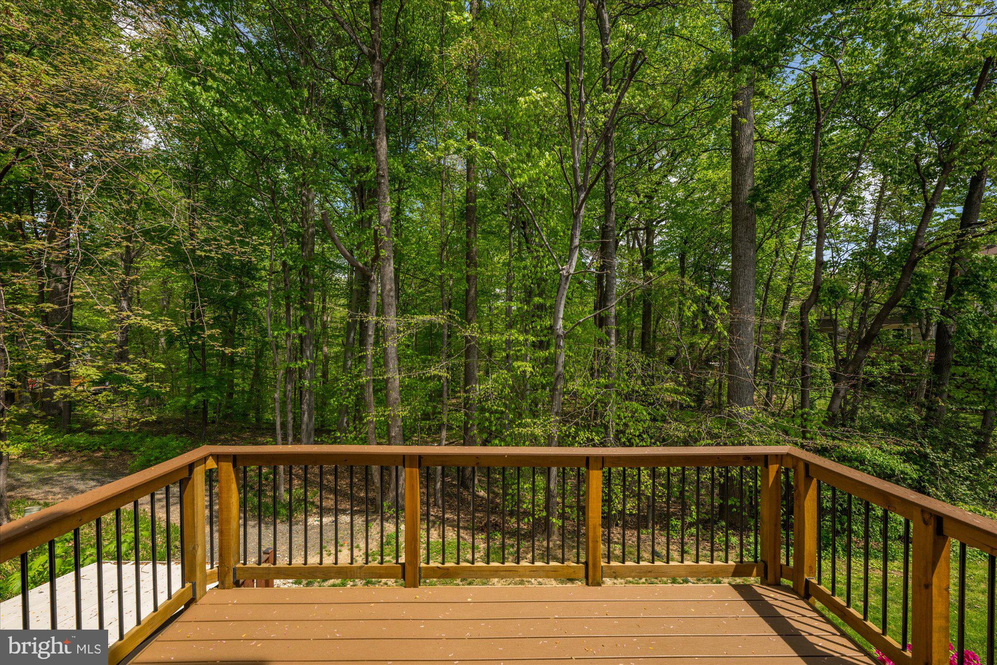 7203 BURTON HILL COURT