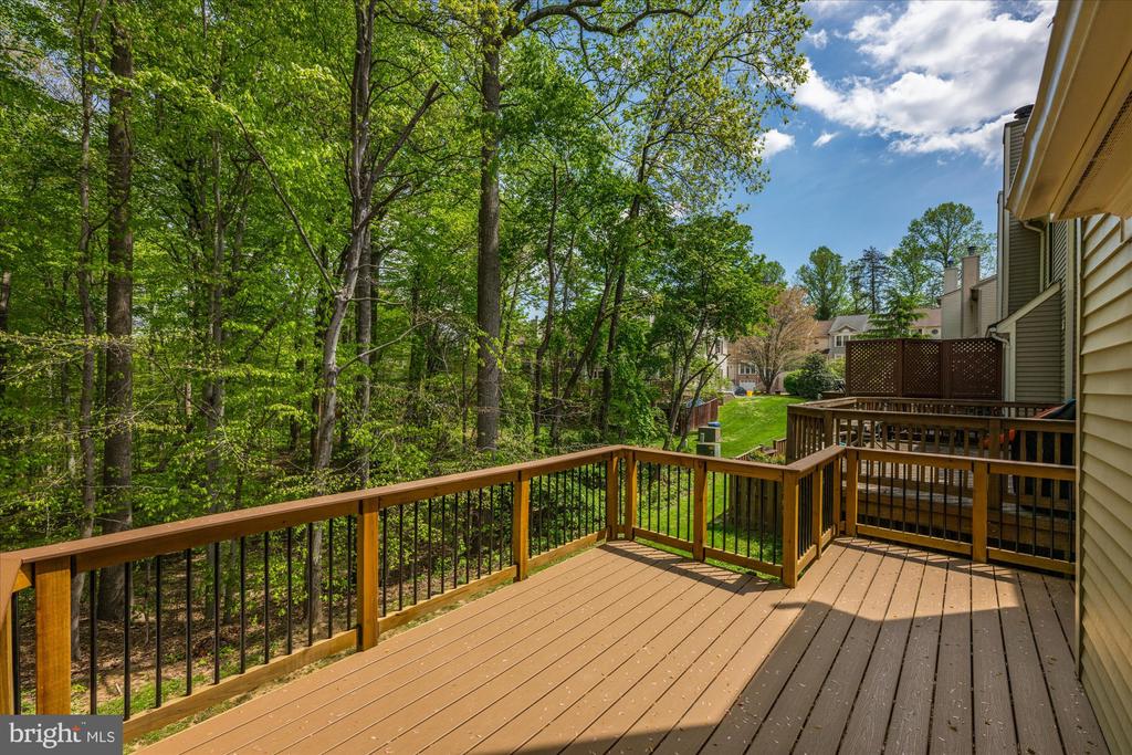 7203 BURTON HILL COURT