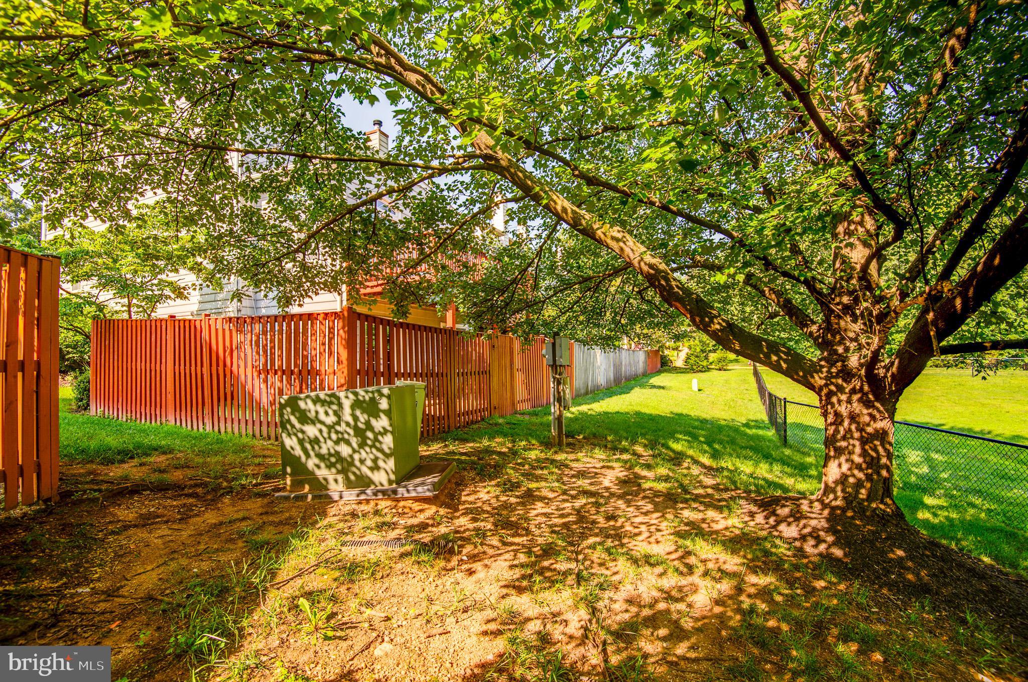 8632 BEECH HOLLOW LANE