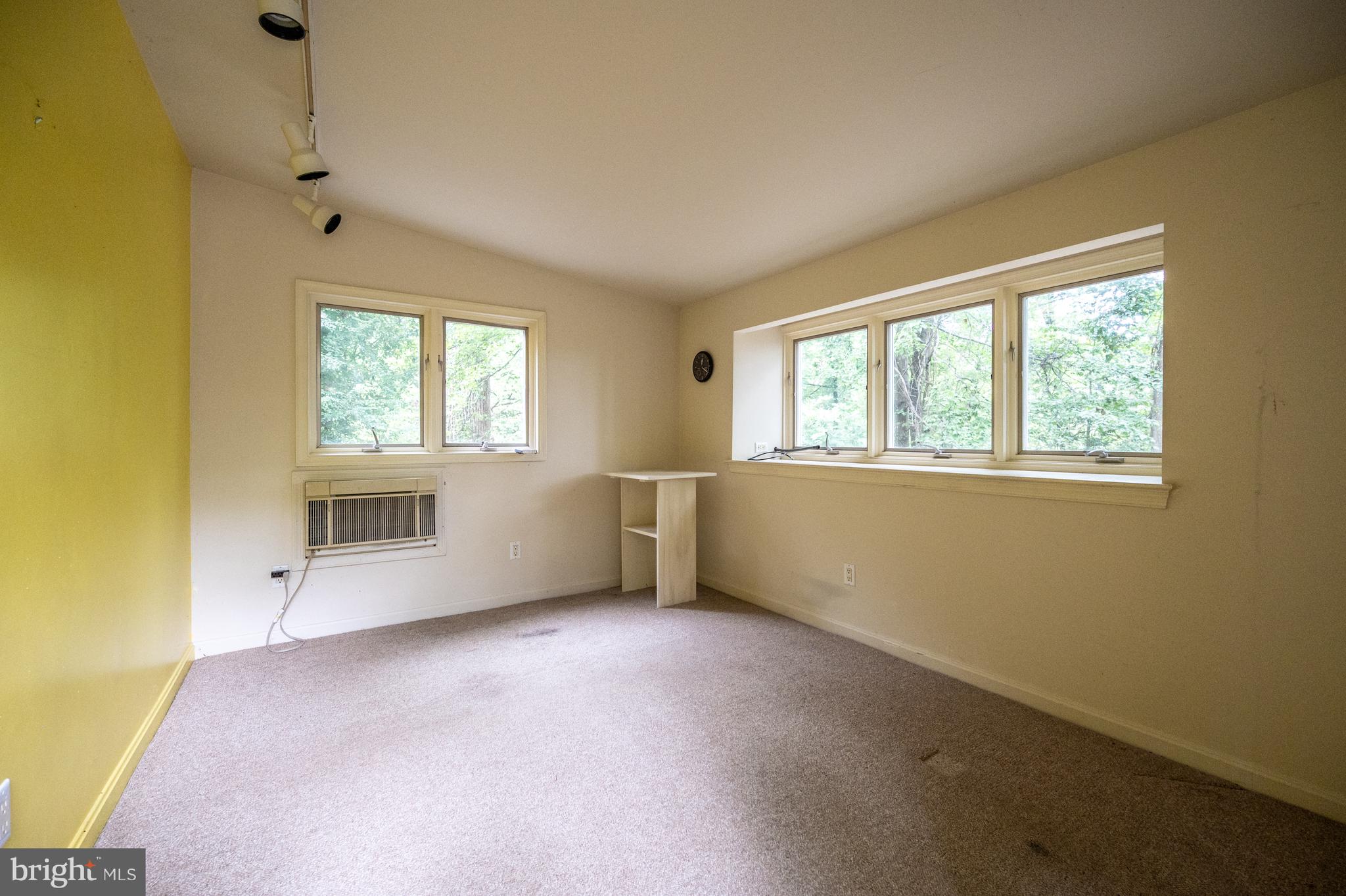 824 ARCTURUS ON THE POTOMAC