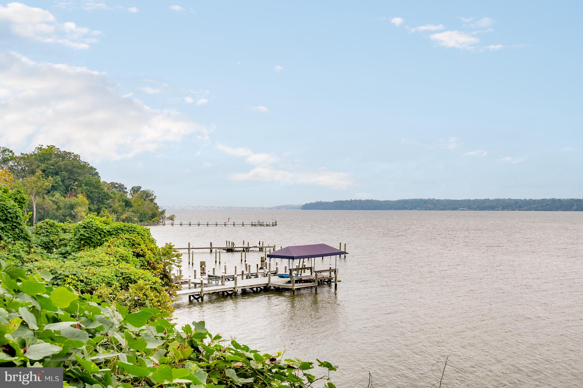 824 ARCTURUS ON THE POTOMAC