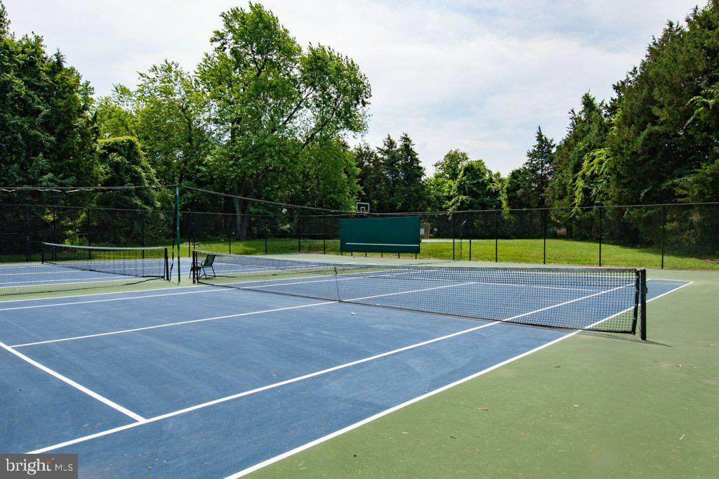 824 ARCTURUS ON THE POTOMAC