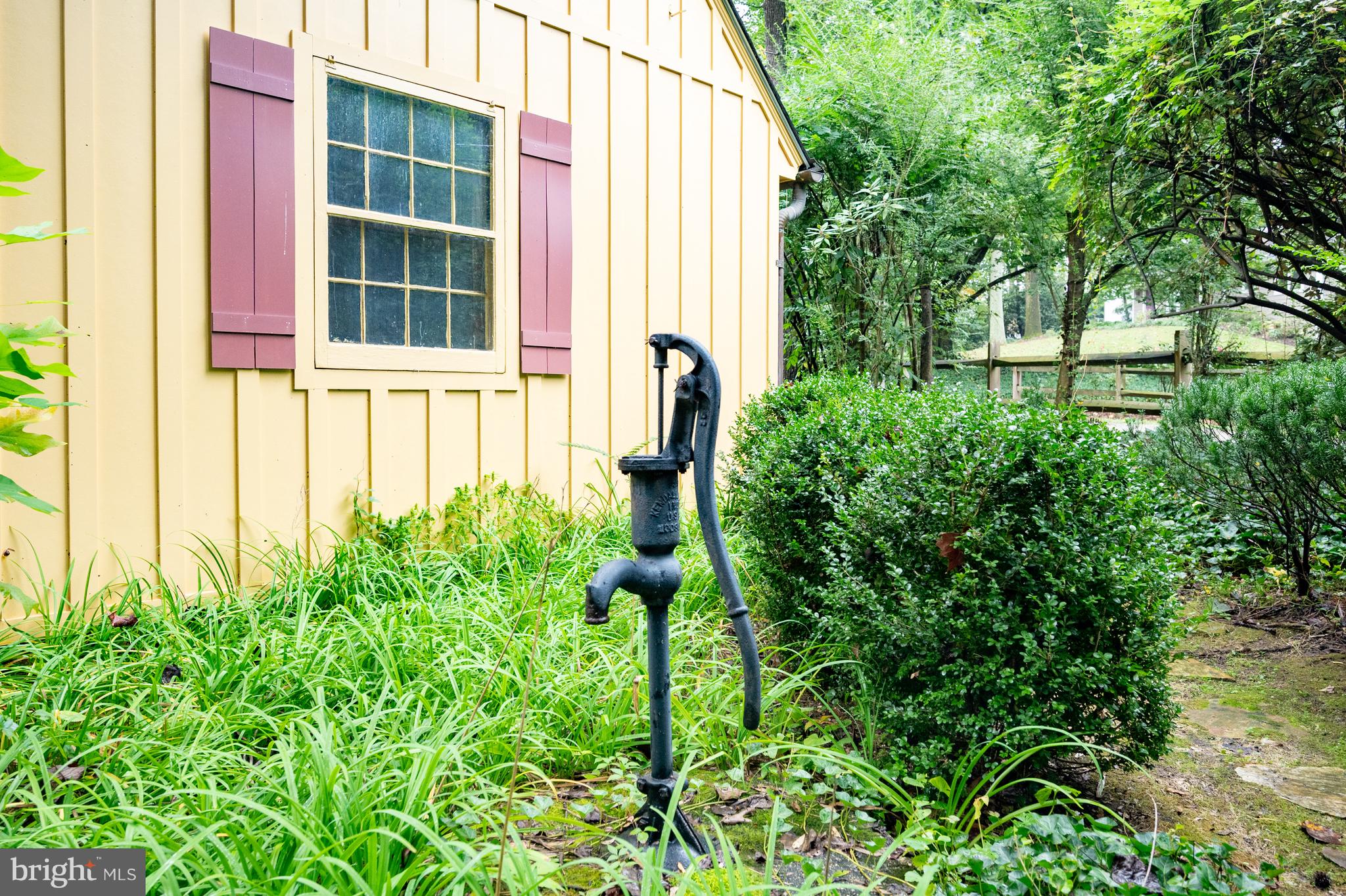 824 ARCTURUS ON THE POTOMAC