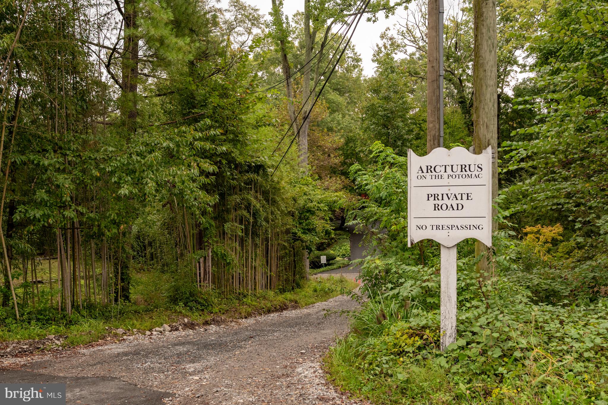 824 ARCTURUS ON THE POTOMAC