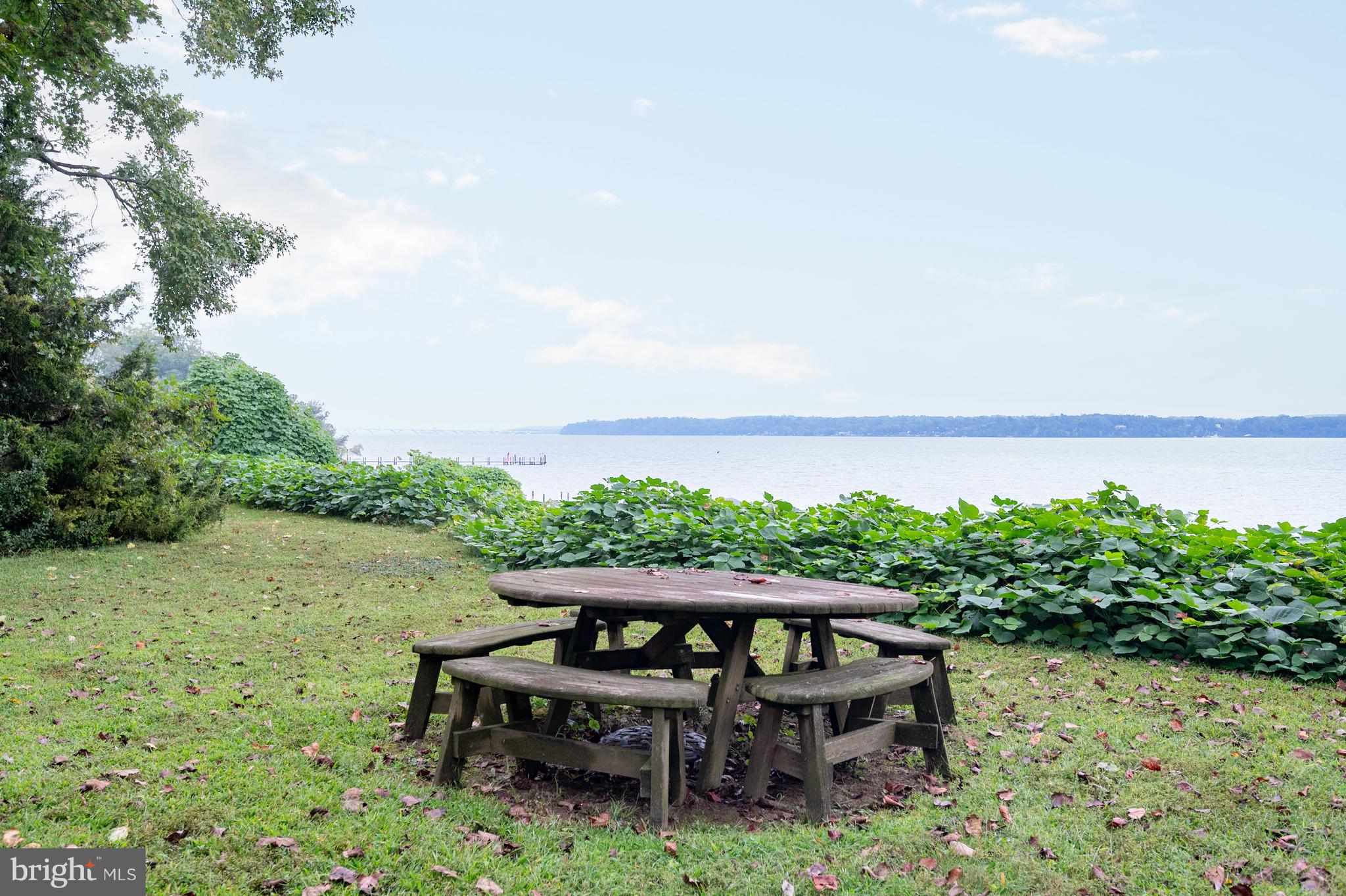 824 ARCTURUS ON THE POTOMAC