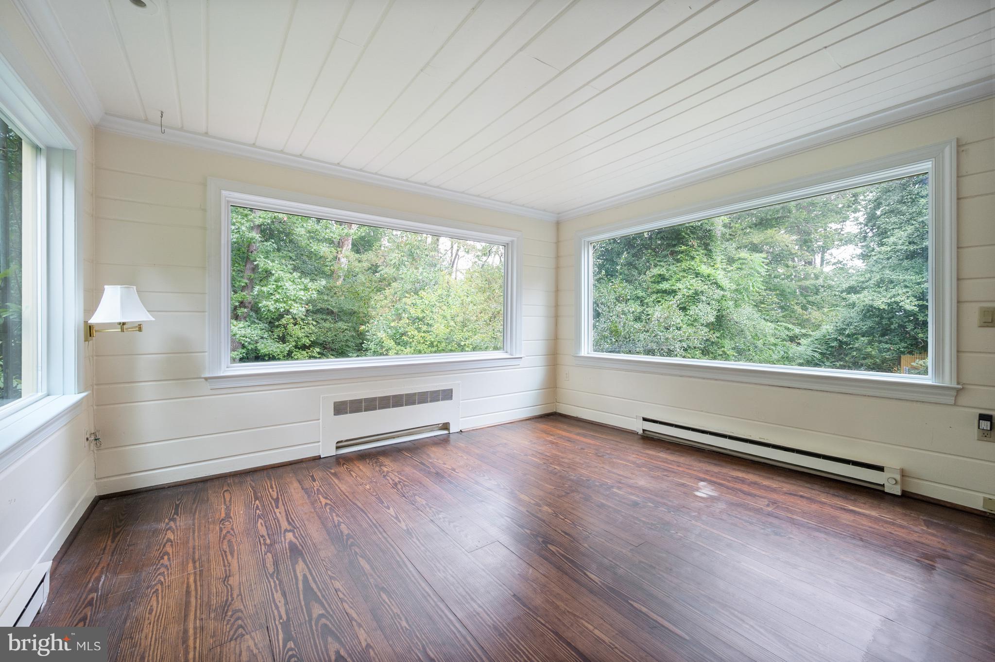 824 ARCTURUS ON THE POTOMAC