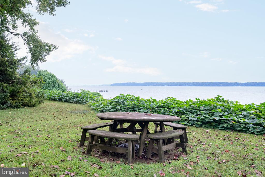 824 ARCTURUS ON THE POTOMAC