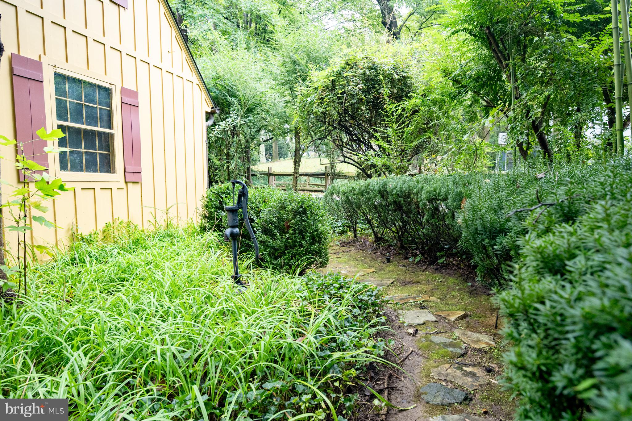 824 ARCTURUS ON THE POTOMAC