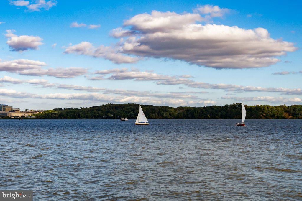 824 ARCTURUS ON THE POTOMAC