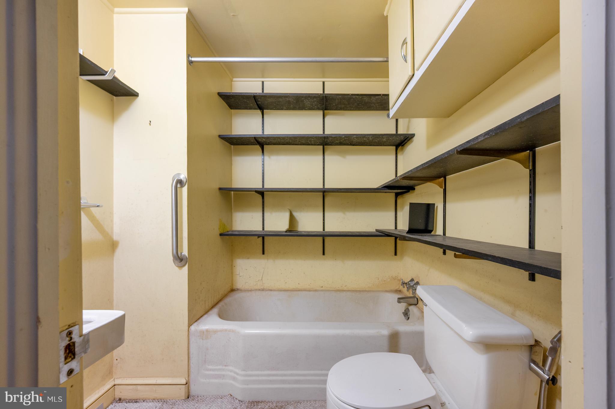 824 ARCTURUS ON THE POTOMAC