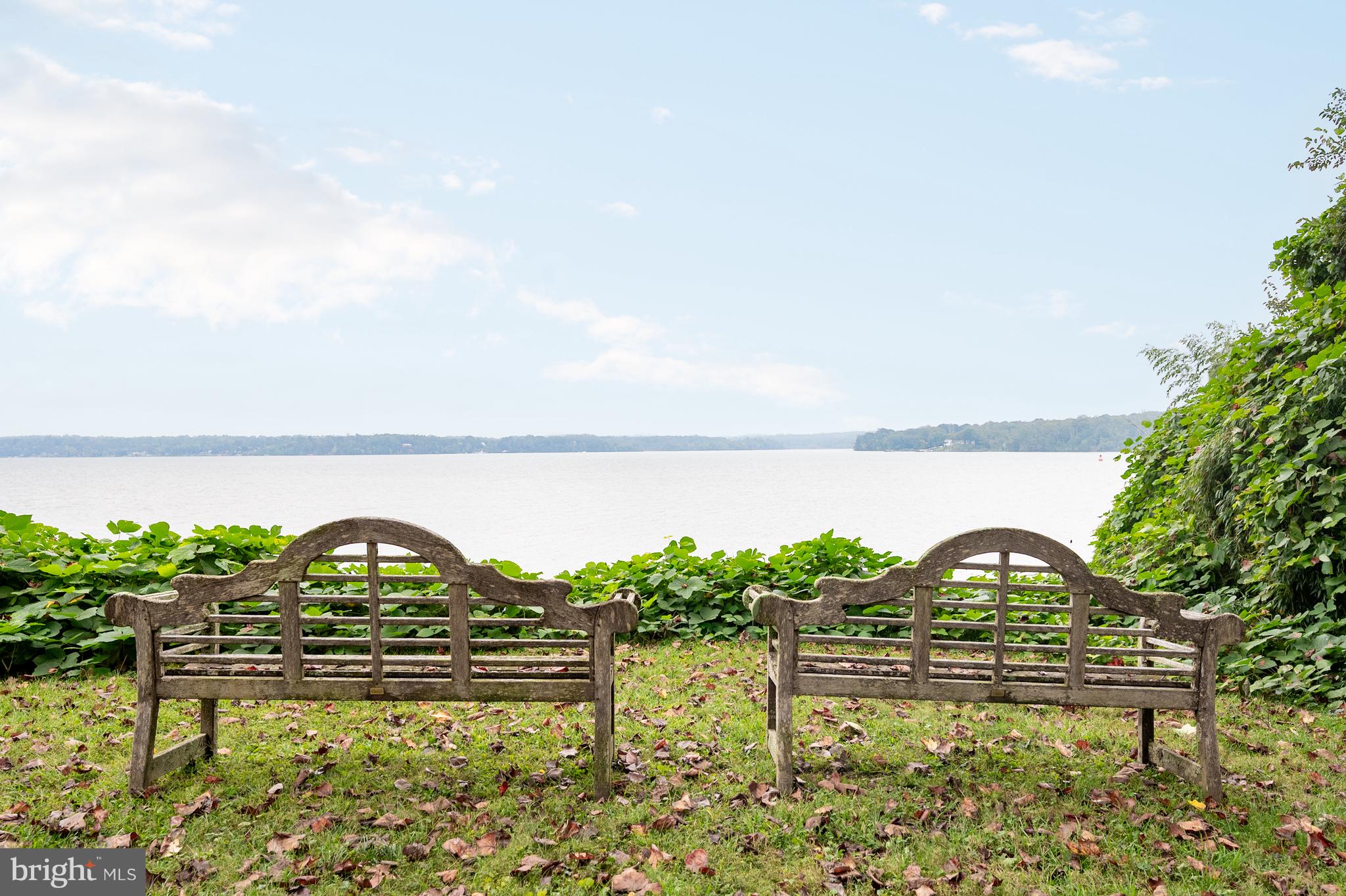 824 ARCTURUS ON THE POTOMAC