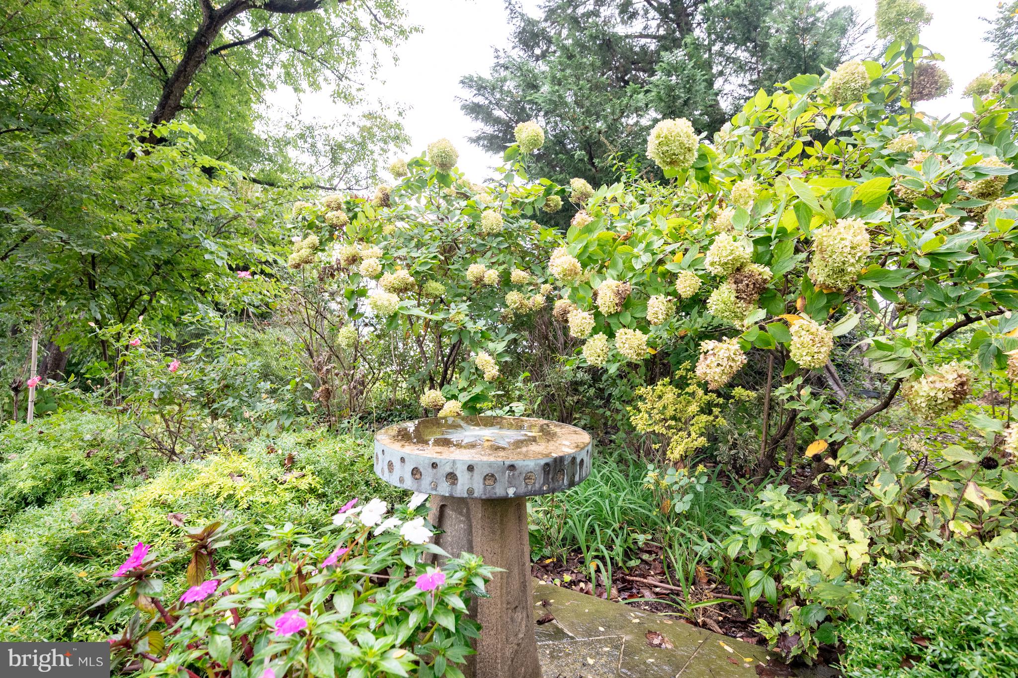 824 ARCTURUS ON THE POTOMAC