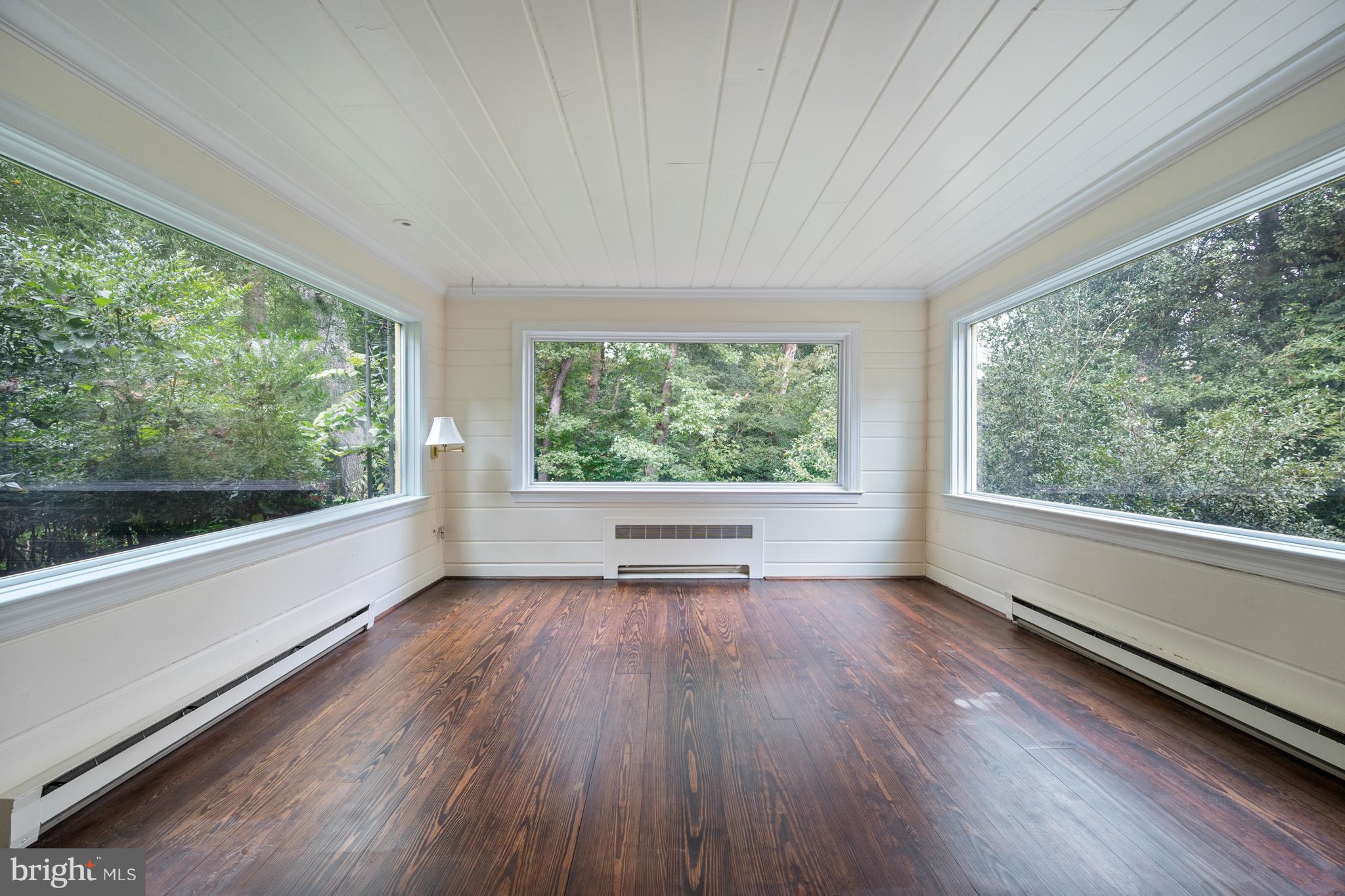 824 ARCTURUS ON THE POTOMAC