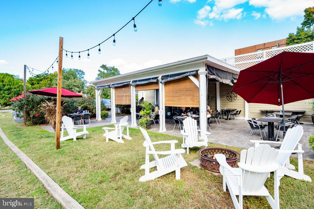 824 ARCTURUS ON THE POTOMAC