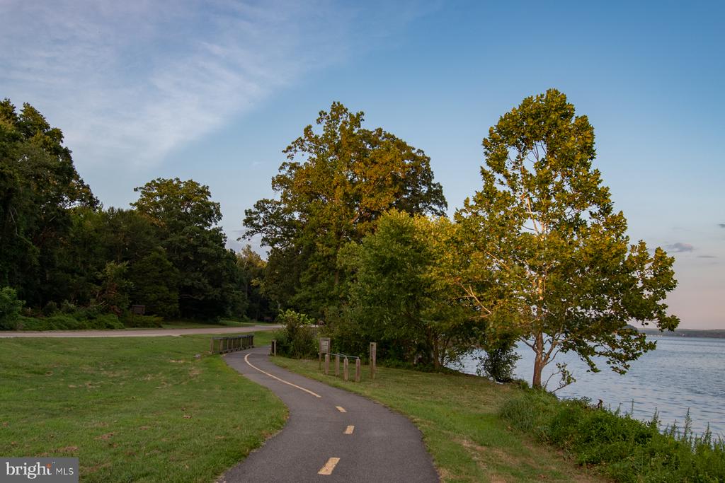 824 ARCTURUS ON THE POTOMAC