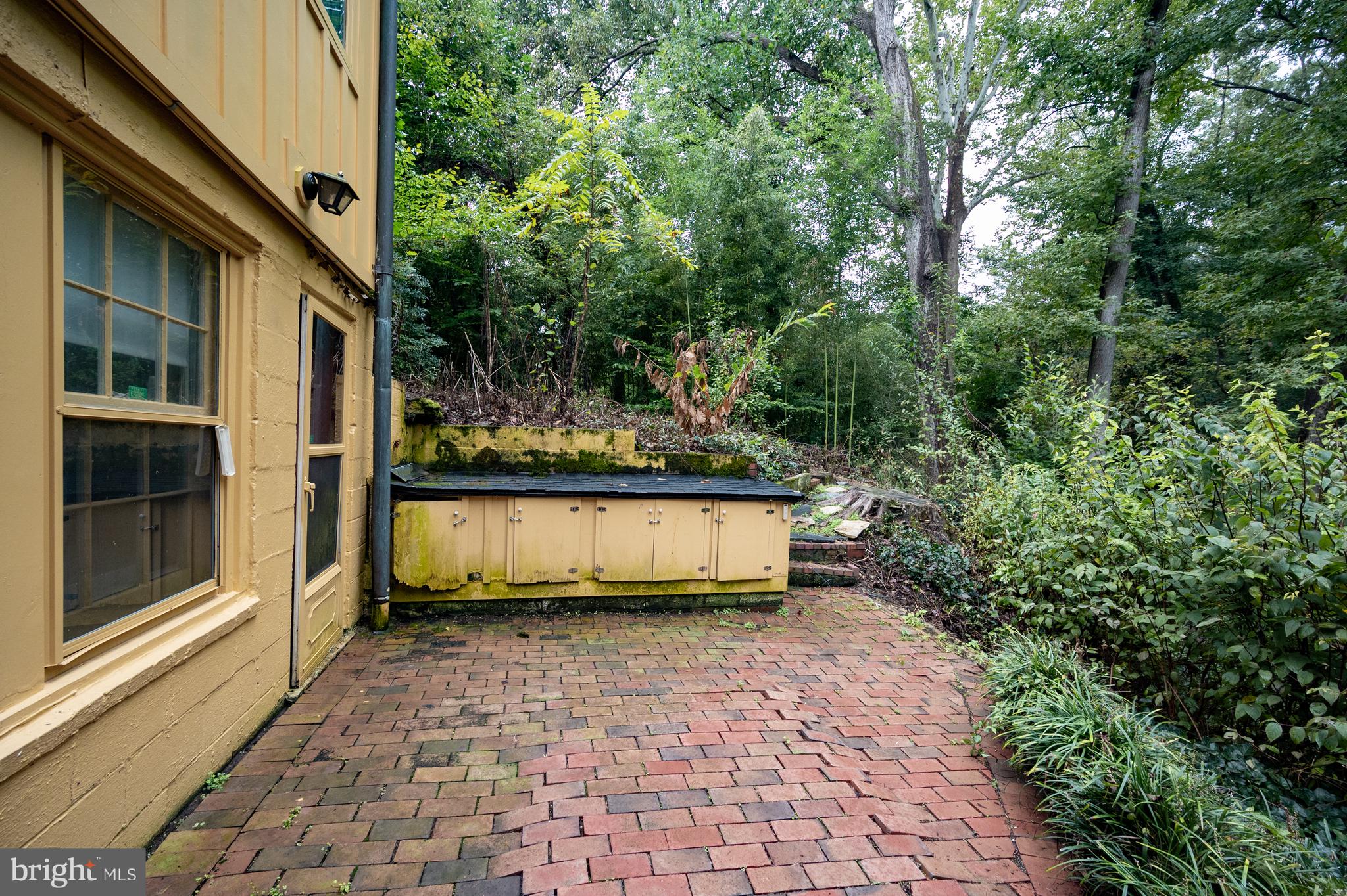 824 ARCTURUS ON THE POTOMAC