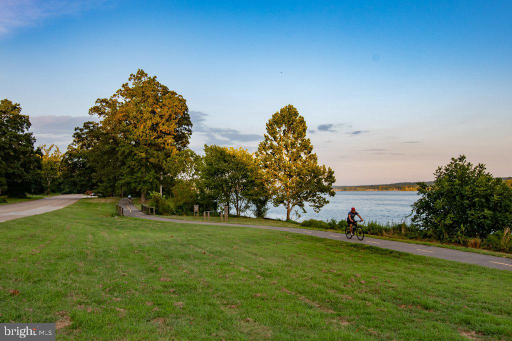 824 ARCTURUS ON THE POTOMAC