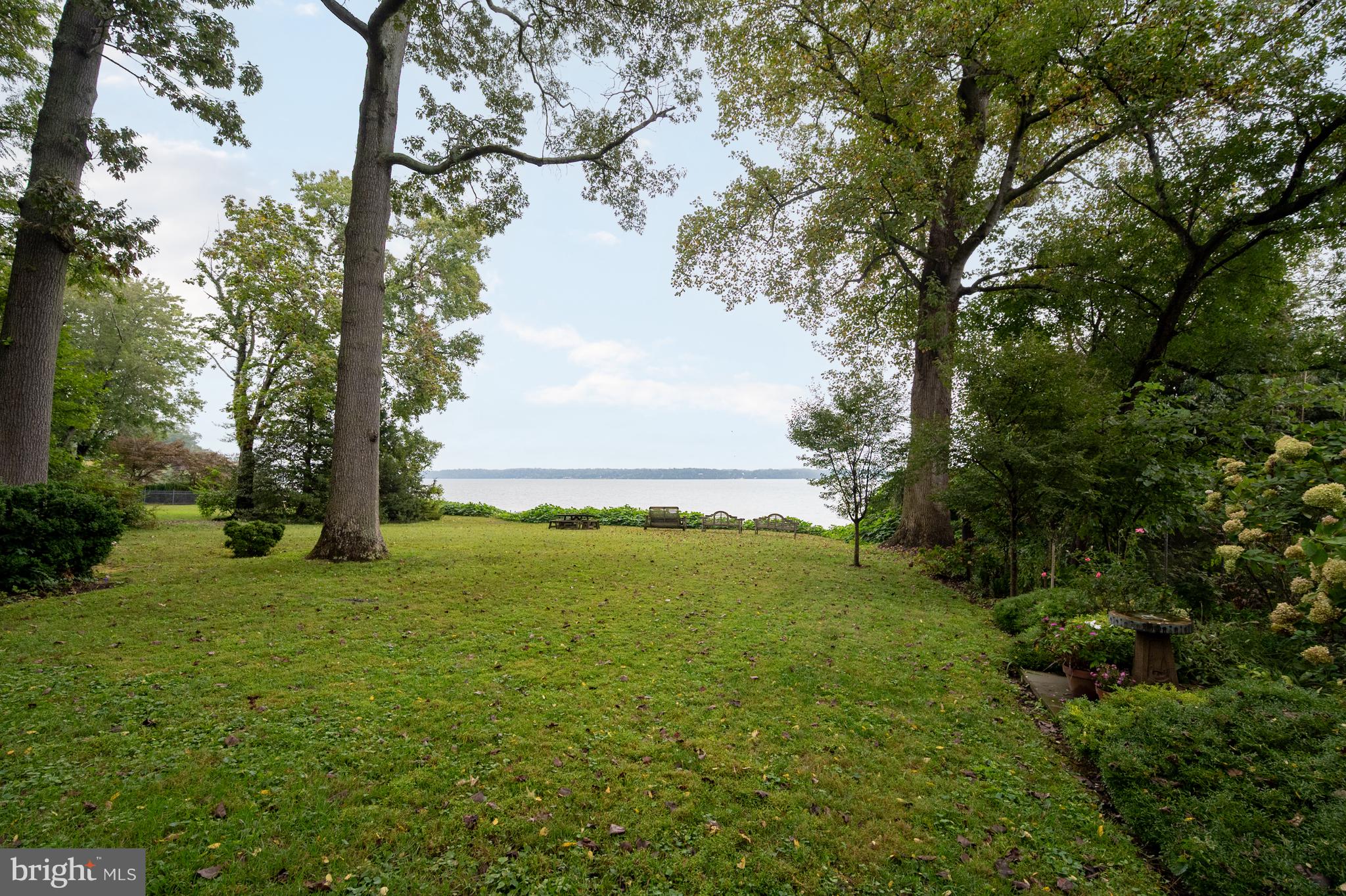 824 ARCTURUS ON THE POTOMAC