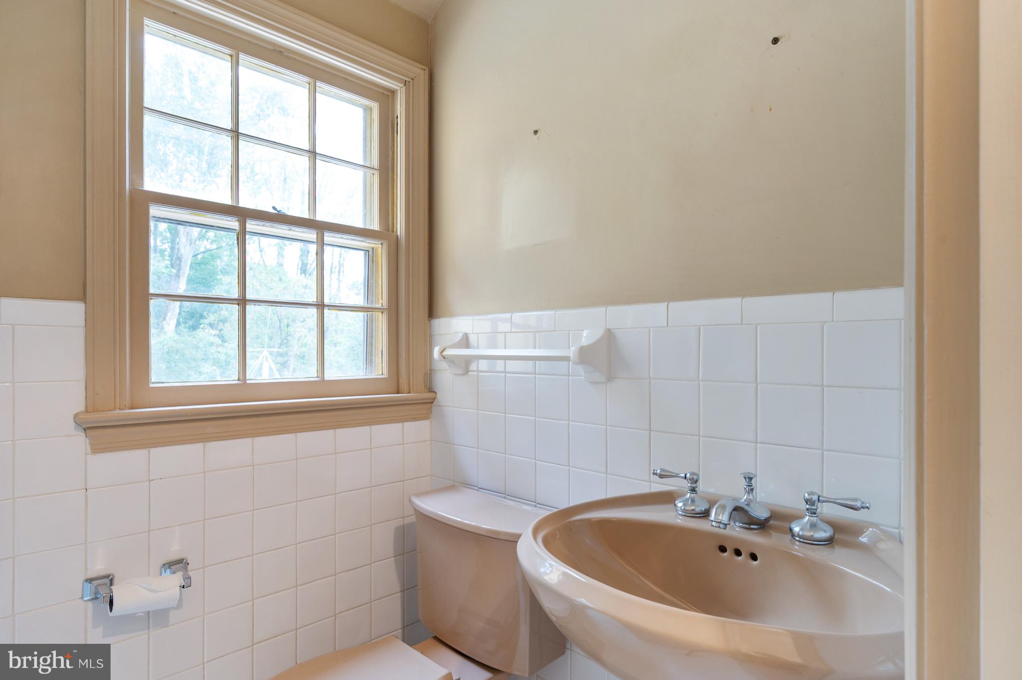 824 ARCTURUS ON THE POTOMAC