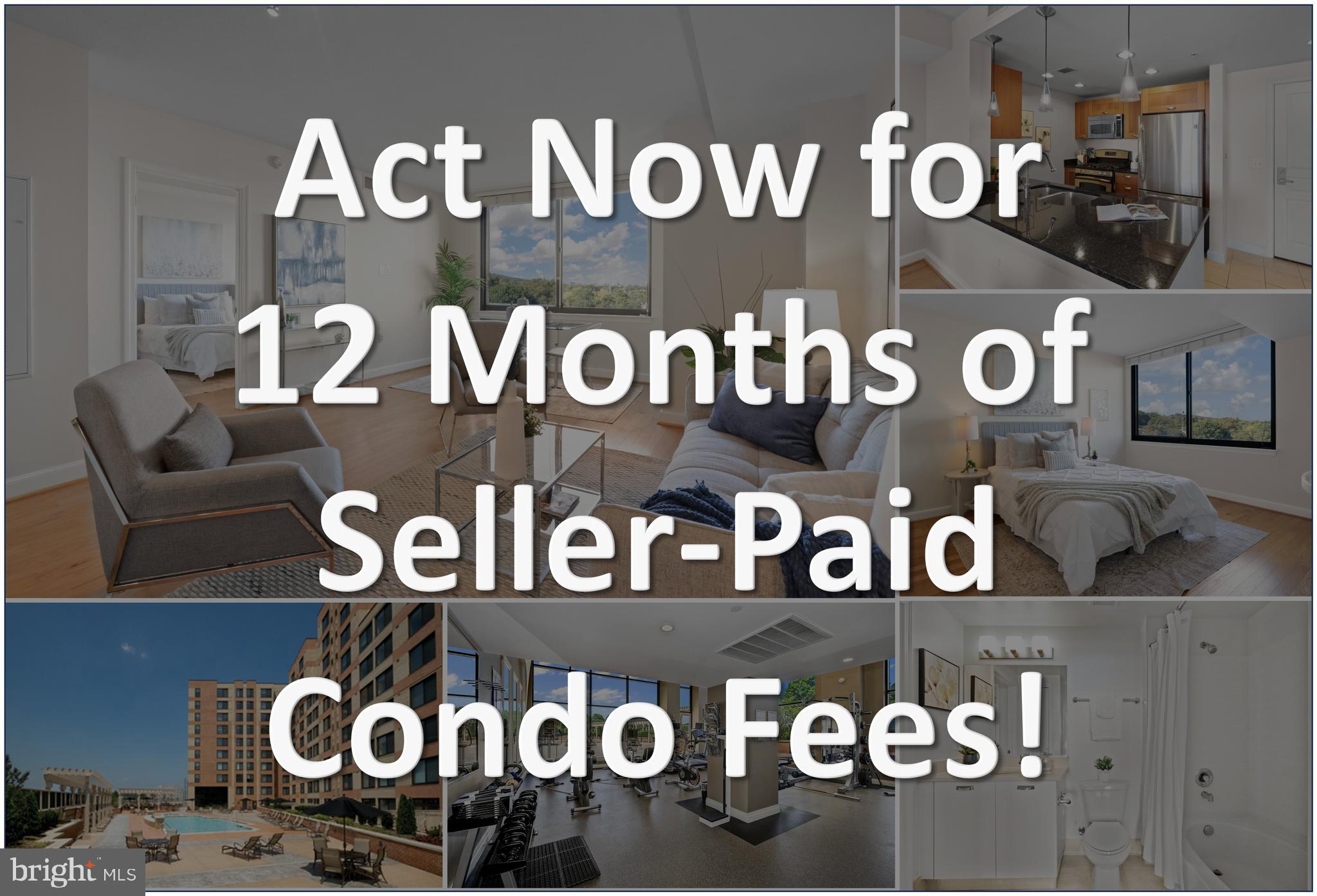 2451 MIDTOWN AVENUE 921