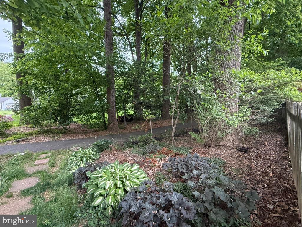 10012 WOOD SORRELS LANE