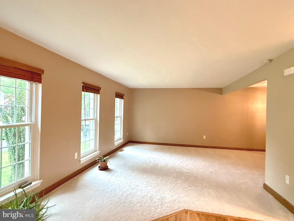10012 WOOD SORRELS LANE